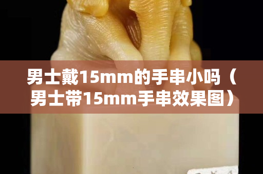 男士戴15mm的手串小嗎（男士帶15mm手串效果圖）