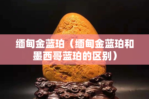 緬甸金藍(lán)珀（緬甸金藍(lán)珀和墨西哥藍(lán)珀的區(qū)別）