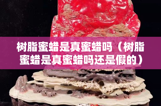 樹脂蜜蠟是真蜜蠟嗎（樹脂蜜蠟是真蜜蠟嗎還是假的）
