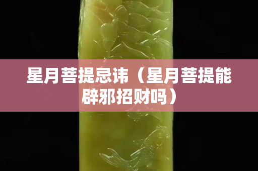 星月菩提忌諱（星月菩提能辟邪招財嗎）