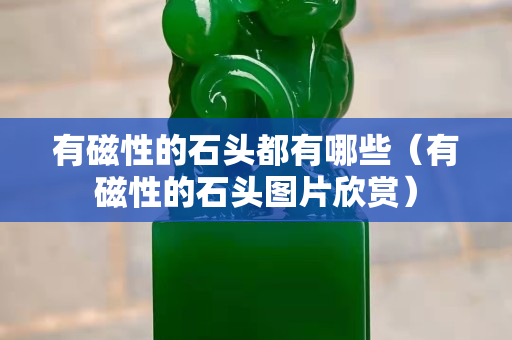 有磁性的石頭都有哪些（有磁性的石頭圖片欣賞）