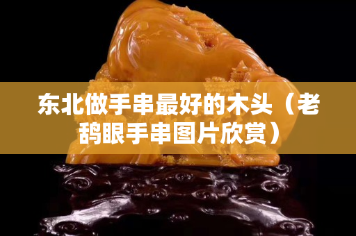 東北做手串最好的木頭（老鴰眼手串圖片欣賞）
