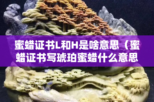 蜜蠟證書L和H是啥意思（蜜蠟證書寫琥珀蜜蠟什么意思）
