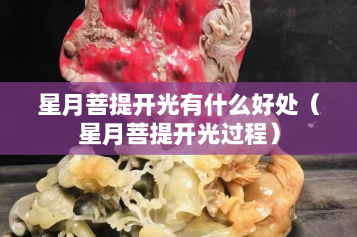 星月菩提開光有什么好處（星月菩提開光過程）