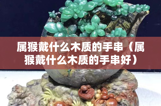 屬猴戴什么木質的手串（屬猴戴什么木質的手串好）