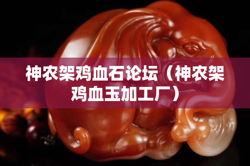 神農架雞血石論壇（神農架雞血玉加工廠）