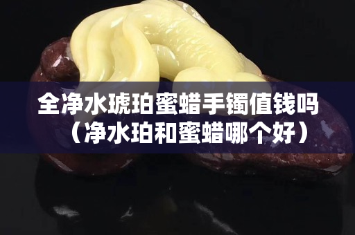 全凈水琥珀蜜蠟手鐲值錢嗎（凈水珀和蜜蠟?zāi)膫€好）