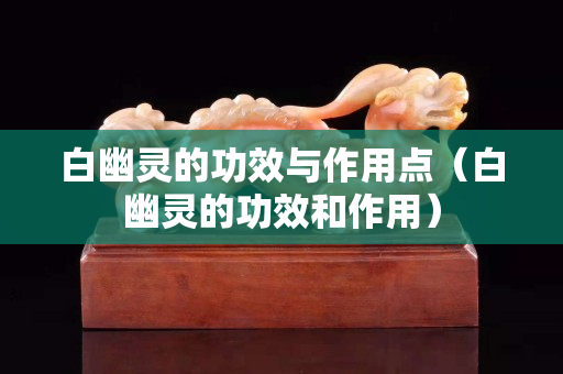 白幽靈的功效與作用點（白幽靈的功效和作用）