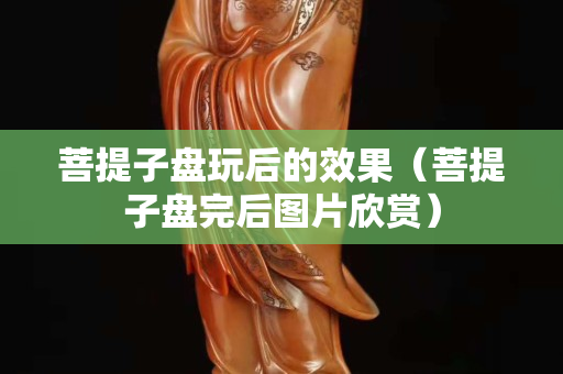 菩提子盤玩后的效果（菩提子盤完后圖片欣賞）