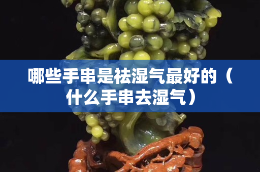 哪些手串是祛濕氣最好的（什么手串去濕氣）