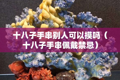 十八子手串別人可以摸嗎（十八子手串佩戴禁忌）