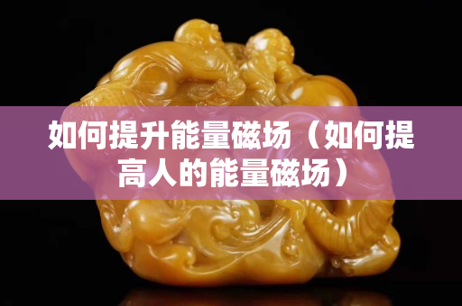如何提升能量磁場（如何提高人的能量磁場）