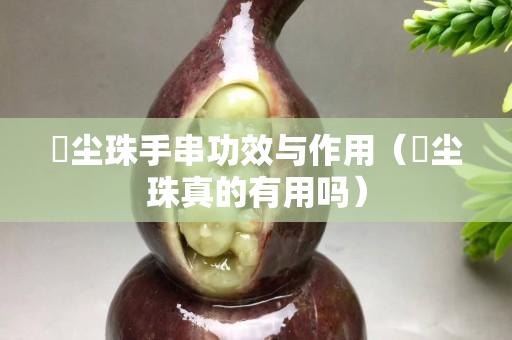 雮塵珠手串功效與作用（雮塵珠真的有用嗎）