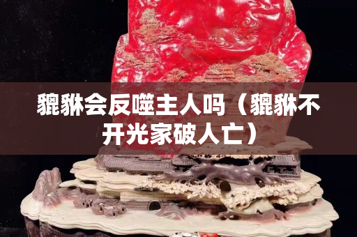 貔貅會反噬主人嗎（貔貅不開光家破人亡）