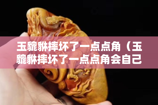 玉貔貅摔壞了一點(diǎn)點(diǎn)角（玉貔貅摔壞了一點(diǎn)點(diǎn)角會(huì)自己修復(fù)嗎）