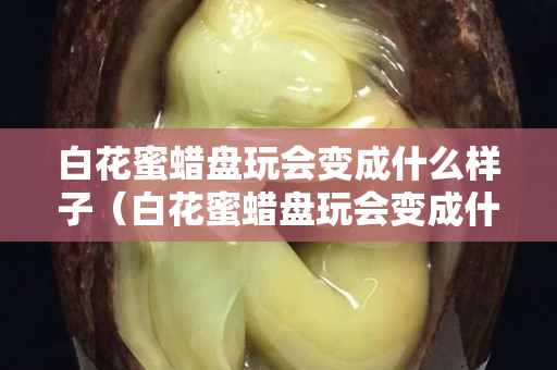 白花蜜蠟盤玩會(huì)變成什么樣子（白花蜜蠟盤玩會(huì)變成什么樣子圖片）