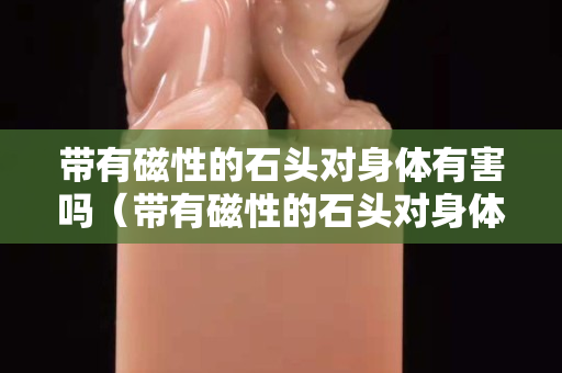 帶有磁性的石頭對身體有害嗎（帶有磁性的石頭對身體有害嗎為什么）