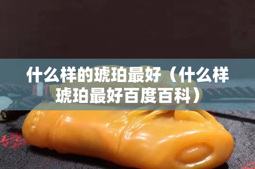 什么樣的琥珀最好（什么樣琥珀最好百度百科）