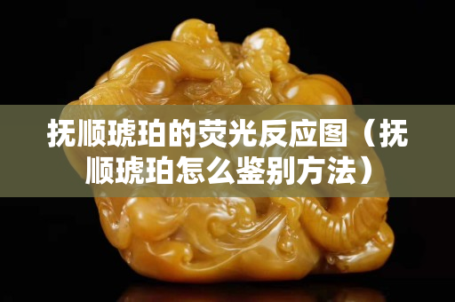 撫順琥珀的熒光反應圖（撫順琥珀怎么鑒別方法）