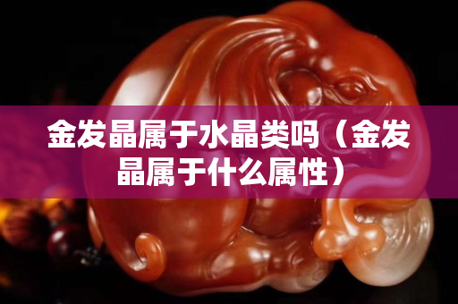 金發晶屬于水晶類嗎（金發晶屬于什么屬性）