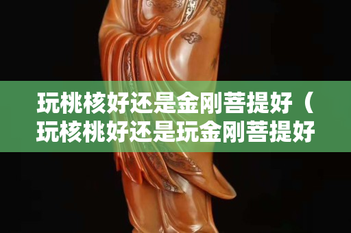 玩桃核好還是金剛菩提好（玩核桃好還是玩金剛菩提好）