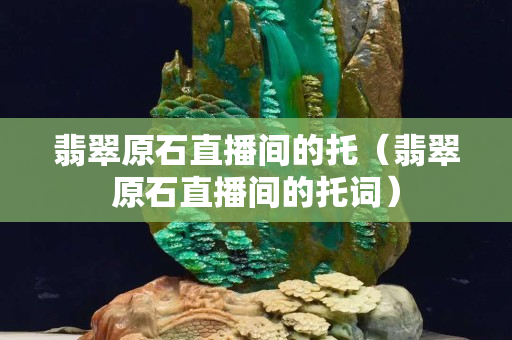 翡翠原石直播間的托（翡翠原石直播間的托詞）