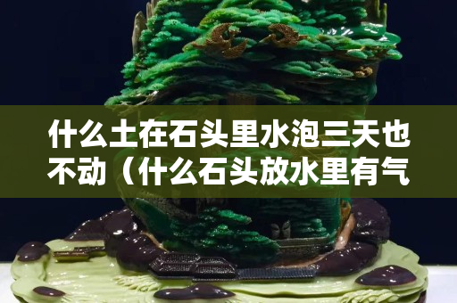 什么土在石頭里水泡三天也不動（什么石頭放水里有氣泡）