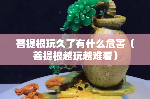 菩提根玩久了有什么危害（菩提根越玩越難看）