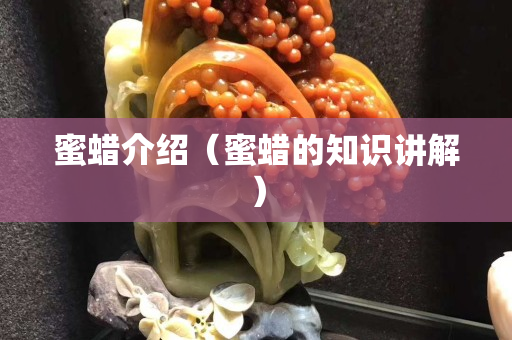 蜜蠟介紹（蜜蠟的知識(shí)講解）