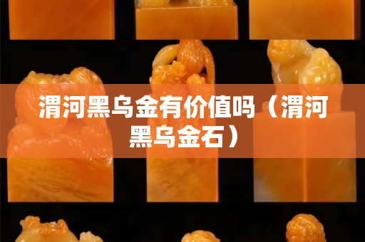 渭河黑烏金有價值嗎（渭河黑烏金石）