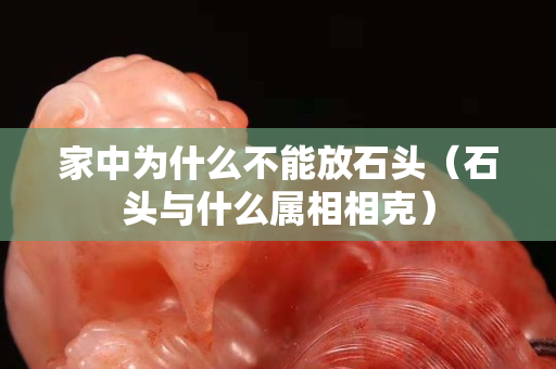 家中為什么不能放石頭（石頭與什么屬相相克）