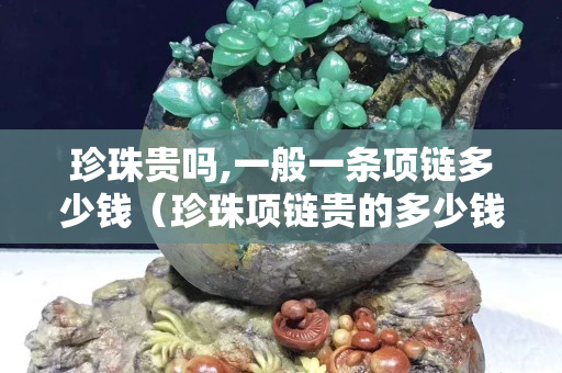 珍珠貴嗎,一般一條項鏈多少錢（珍珠項鏈貴的多少錢）
