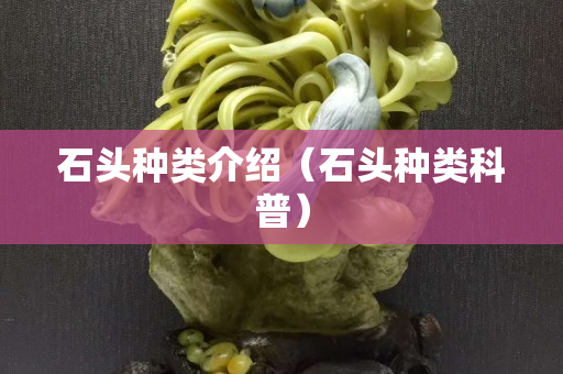 石頭種類介紹（石頭種類科普）