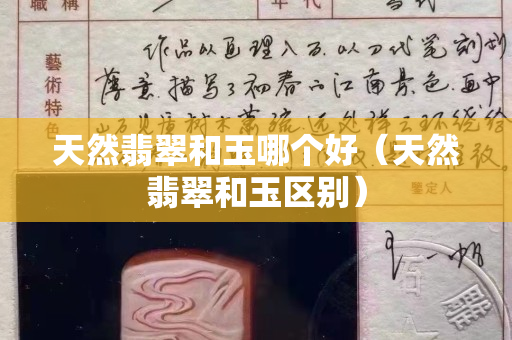 天然翡翠和玉哪個好（天然翡翠和玉區別）