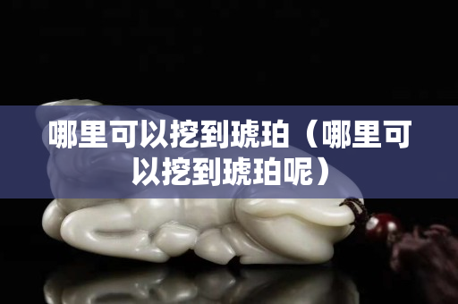 哪里可以挖到琥珀（哪里可以挖到琥珀呢）