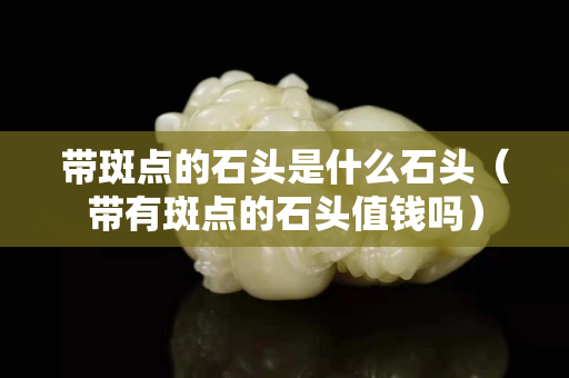 帶斑點(diǎn)的石頭是什么石頭（帶有斑點(diǎn)的石頭值錢嗎）