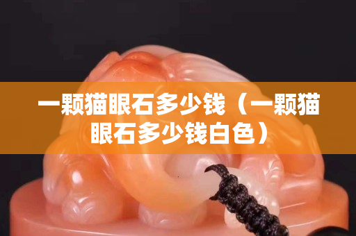 一顆貓眼石多少錢（一顆貓眼石多少錢白色）