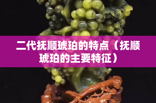 二代撫順琥珀的特點（撫順琥珀的主要特征）