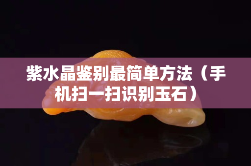 紫水晶鑒別最簡單方法（手機掃一掃識別玉石）