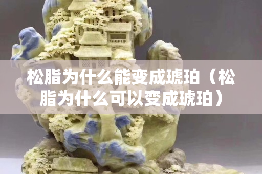 松脂為什么能變成琥珀（松脂為什么可以變成琥珀）