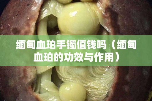 緬甸血珀手鐲值錢嗎（緬甸血珀的功效與作用）
