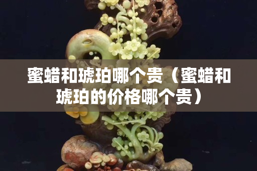 蜜蠟和琥珀哪個(gè)貴（蜜蠟和琥珀的價(jià)格哪個(gè)貴）