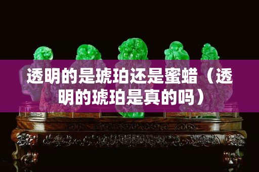 透明的是琥珀還是蜜蠟（透明的琥珀是真的嗎）