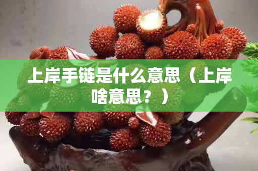 上岸手鏈?zhǔn)鞘裁匆馑迹ㄉ习渡兑馑迹浚? title=