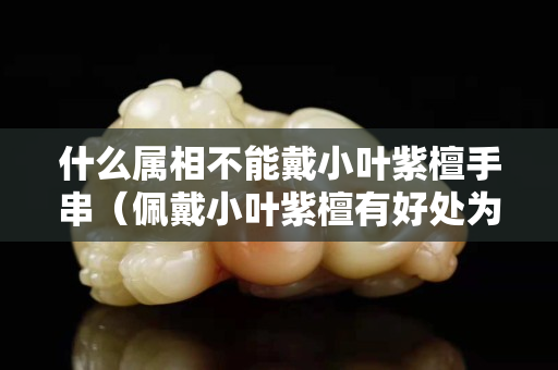 什么屬相不能戴小葉紫檀手串（佩戴小葉紫檀有好處為什么不能帶）