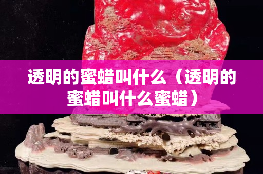 透明的蜜蠟叫什么（透明的蜜蠟叫什么蜜蠟）