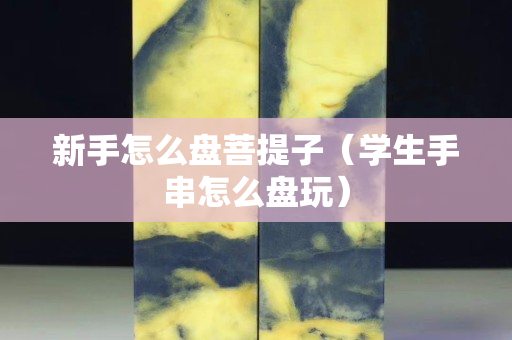 新手怎么盤菩提子（學(xué)生手串怎么盤玩）