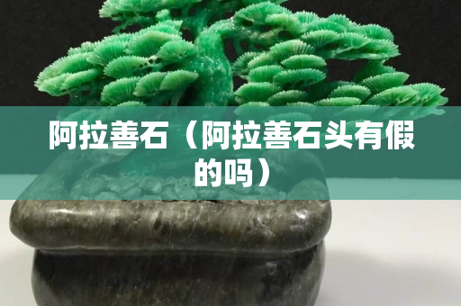 阿拉善石（阿拉善石頭有假的嗎）