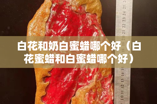 白花和奶白蜜蠟哪個好（白花蜜蠟和白蜜蠟哪個好）