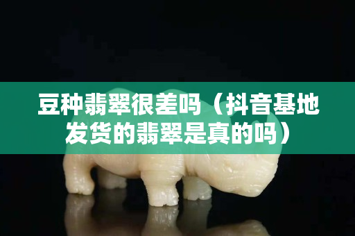 豆種翡翠很差嗎（抖音基地發貨的翡翠是真的嗎）